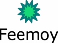 Feemoy AI Solutions